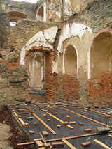 płonina